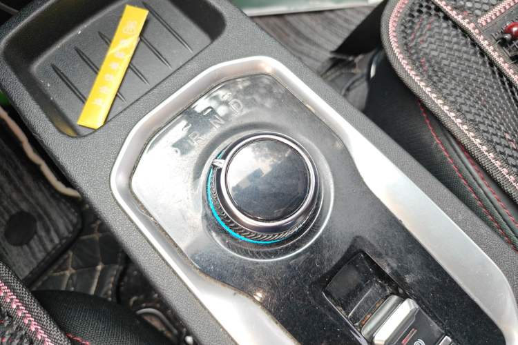 Used Dayun Yuehu 2021 32.85 kWh Two-Wheel-Drive Sprite Version
