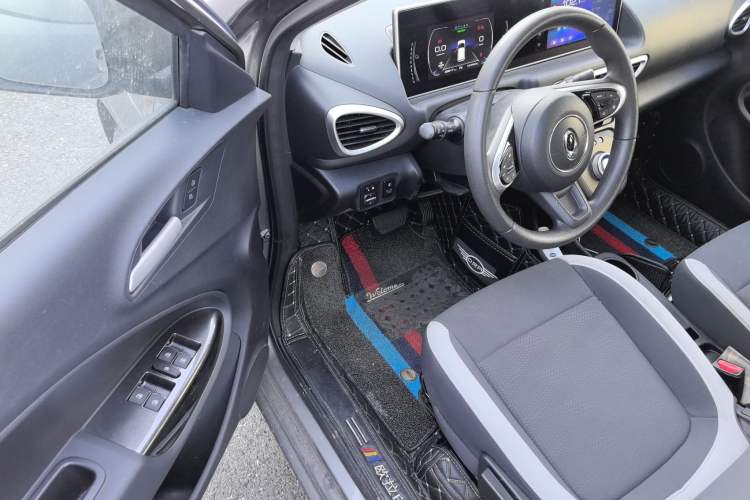 Used ORA White Cat 2020 305 km Luxury Version
