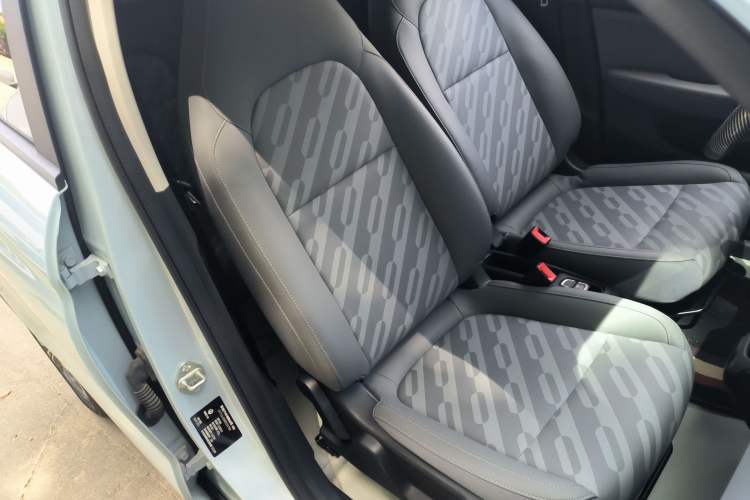 Used Leapmotor T03 2024 310 Comfort Edition Right Front Seat