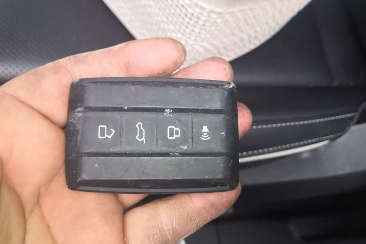 Used Tank 300 2023 City Edition 2.0T—Stylish as Ever