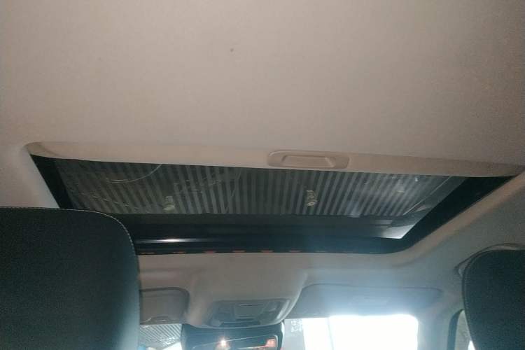 Used Tank 300 2021 Off-Road Edition 2.0T Conqueror
