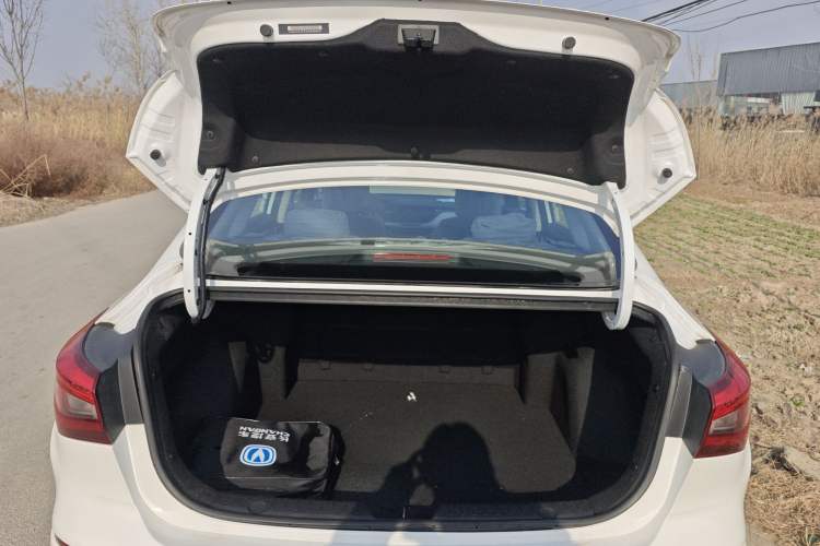 Used Changan Eado New Energy 2019 EV460 Smart Edition
