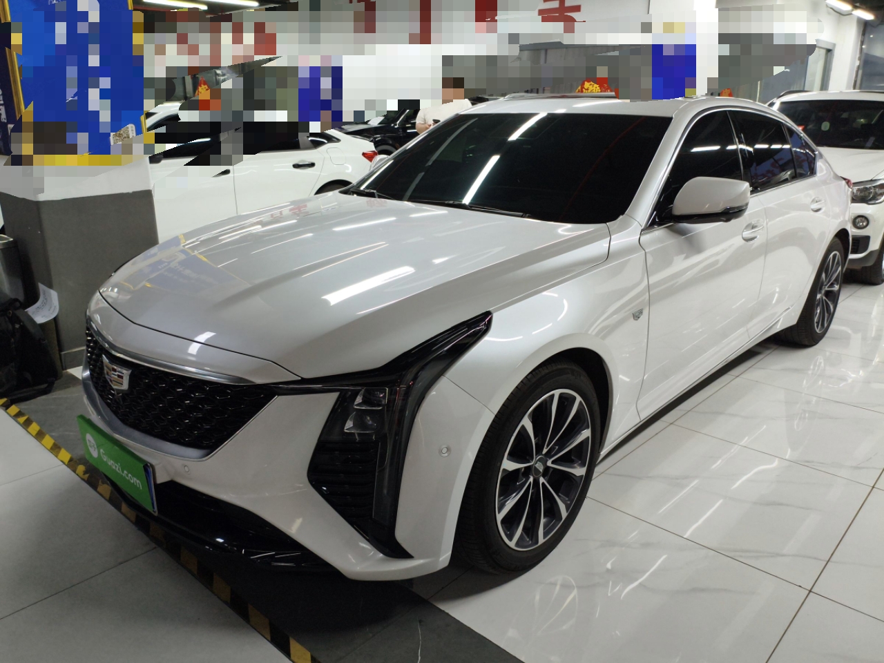 Parte inferior delantera