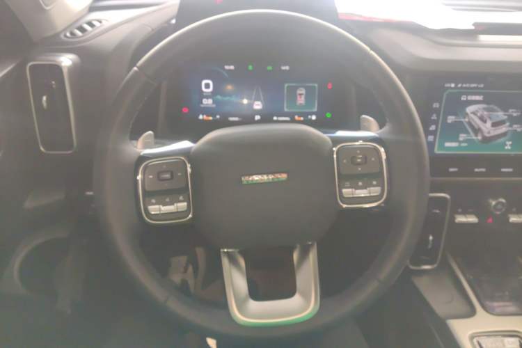 Used Haval DARGO 2024 2.0T DCT Chinese Rural Dog Edition
