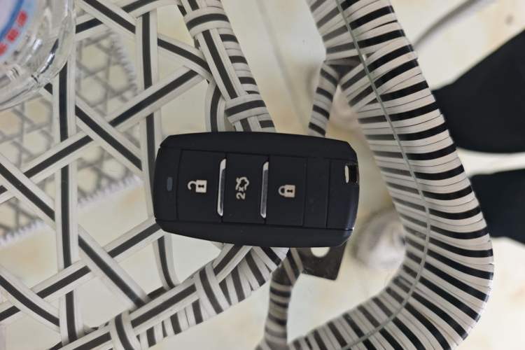 Used CHANGAN Ruicheng CC 2021 Blue Whale Edition 1.5T DCT Luxury Model
