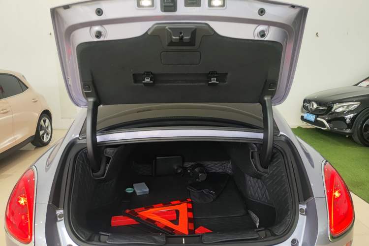 Used ORA Lightning Cat 2022 555 km Luxury Edition
