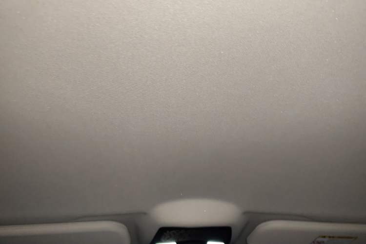 Used NETA U 2021 Pro 400 Cruiser Edition Headliner