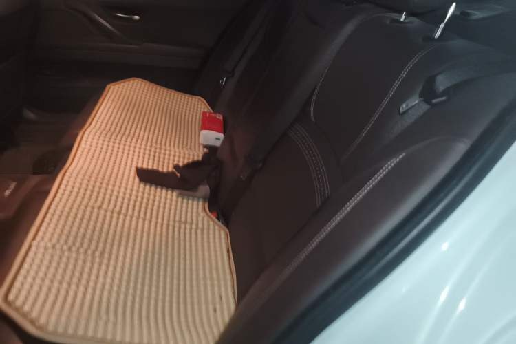 Used BMW 5 Series 2017 525Li Luxury Design Package