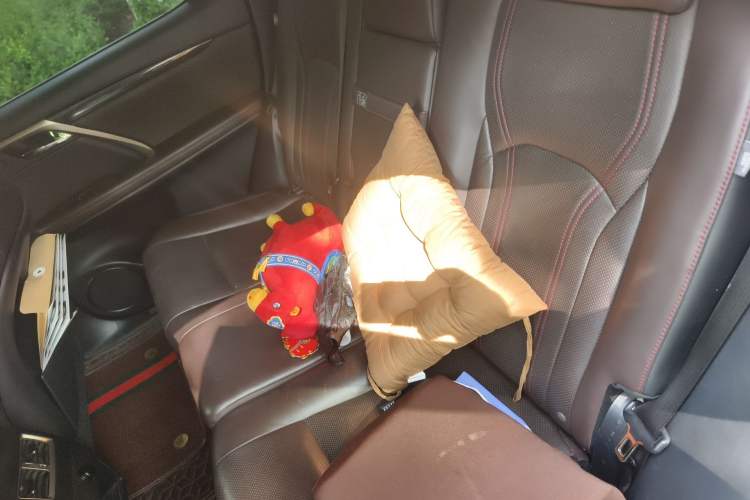 Used Lexus RX 2016 300 4x4 Elegant Edition China VI Left Rear Seat