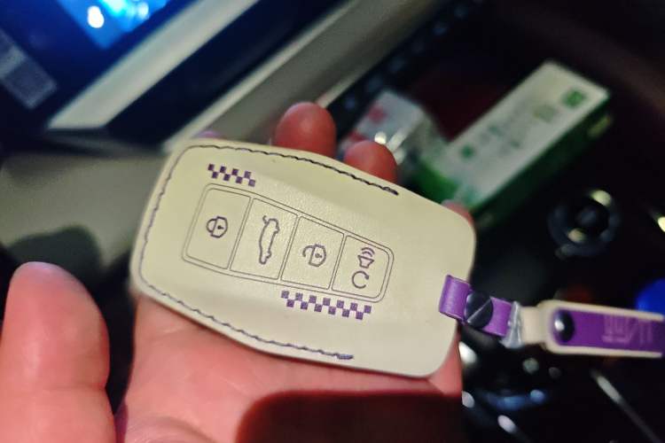 Used Geely Auto Monjaro L 2023 2.0TD High-Power Automatic Two-Wheel Drive Flagship Version