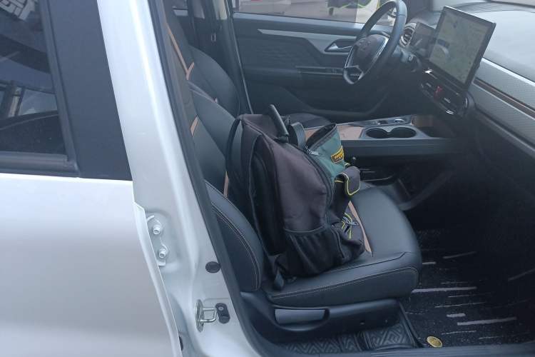 Used SOL E10X 2022 Flower Fairy Style Baby's Breath
