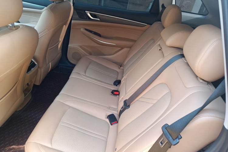 Used Landian E5 2023 1.5L DE-i 110KM Flagship 7-Seater