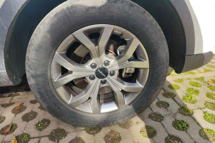 Used Haval H6 2021 China Trend Edition 1.5 GDIT Automatic Champion Version