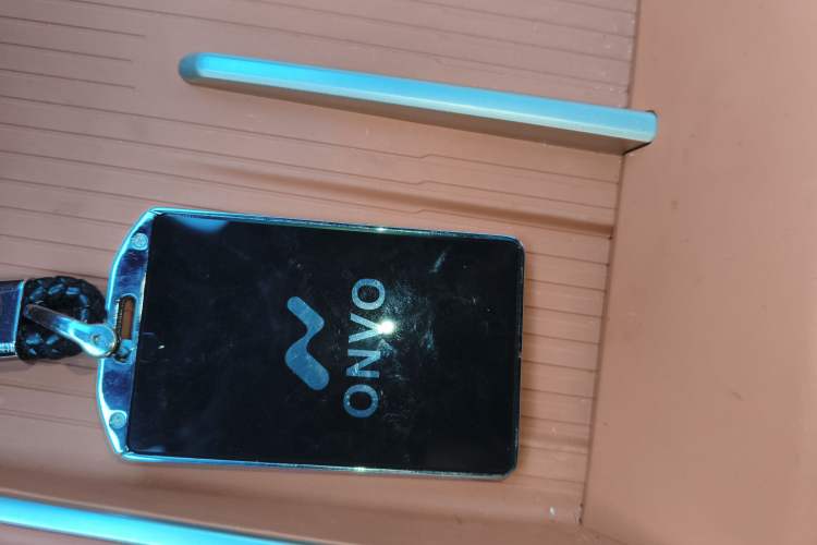 Used ONVO L60 2024 60 kWh Rear-Drive Version
