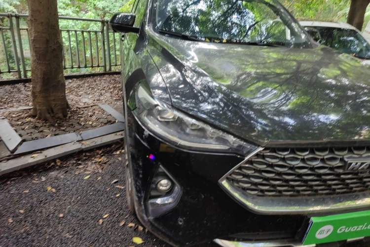 Used Haval F7 2020 2.0T All-Wheel Drive iJoy Right Front Headlight