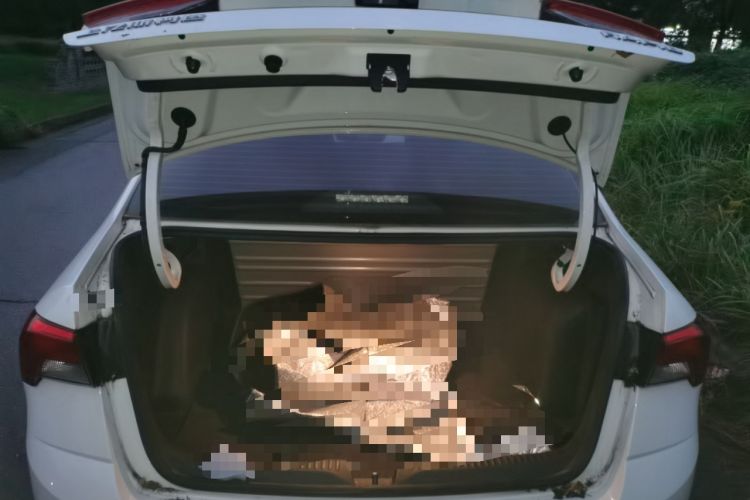 Used Skoda Rapid 2020 1.5L Automatic Comfort Edition