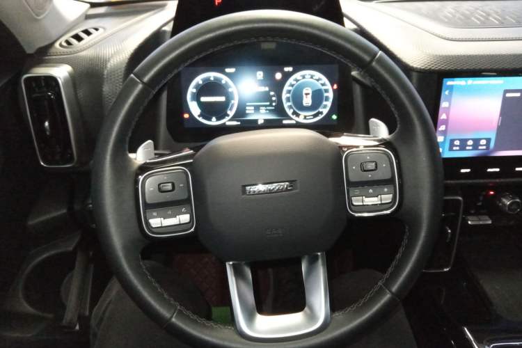 Used Haval DARGO 2022 2.0T DCT 4x4 Chinese Rural Dog Edition