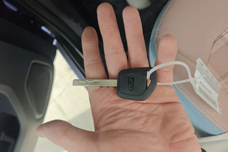 Used Chery New Energy QQ Ice Cream 2025 155km Sundae Edition
