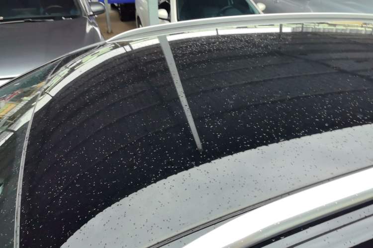 Used Volkswagen ID.4 X 2024 Pure & Smart Edition Roof