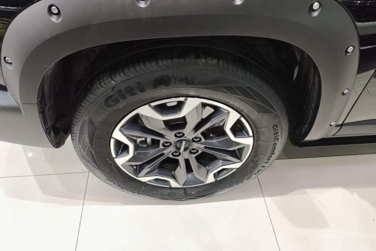 Used Haval DARGO 2024 2.0T DCT Chinese Rural Dog Edition