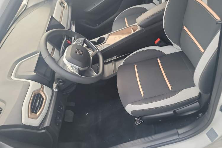 Used SOL E10X 2022 Flower Fairy Design Dandelion