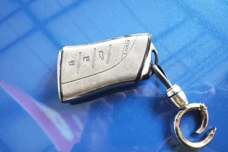 Used Lexus UX New Energy 2020 300e Pure·Joy Edition