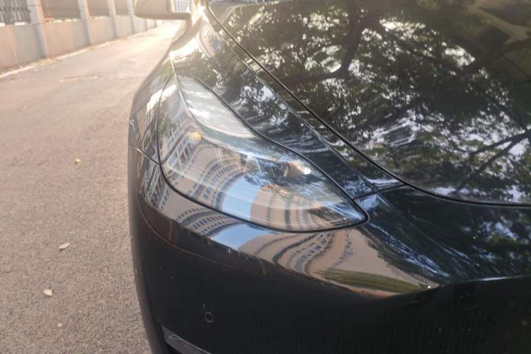 Used Tesla Model Y 2021 Standard Range Rear-Wheel Drive Version
