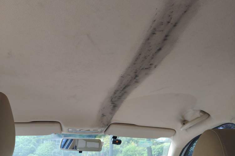 Used Volkswagen Bora 2012 1.6L Automatic Fashion Edition Headliner