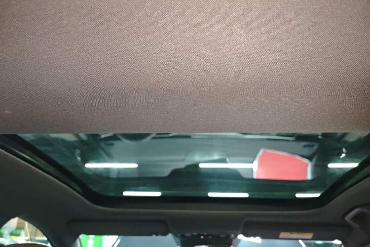 Used Leapmotor C01 2023 606 Comfort Edition Headliner
