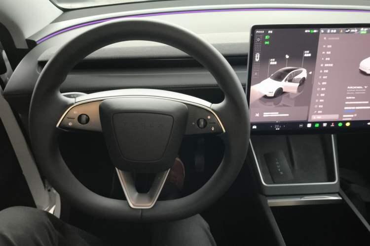 Used Tesla Model Y 2025 Long-Range All-Wheel Drive First Edition