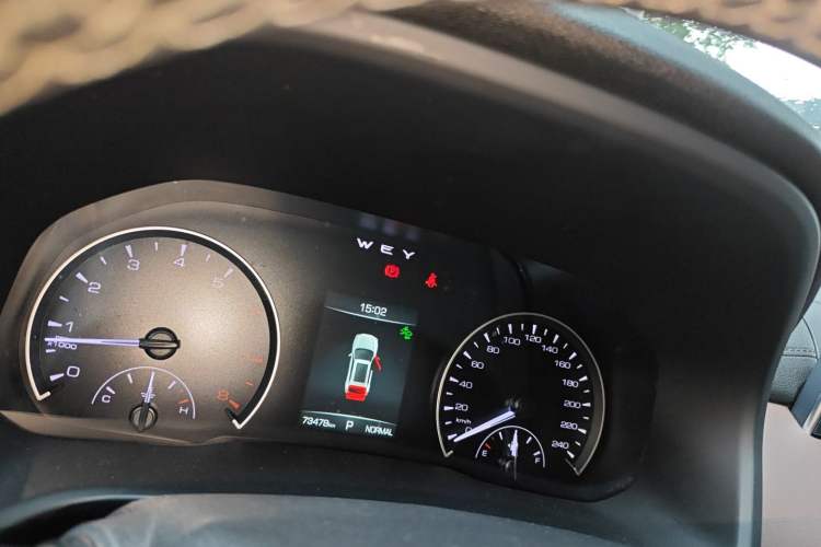 Used Wey VV5 2020 1.5T Two-Wheel Drive Color Pioneer
