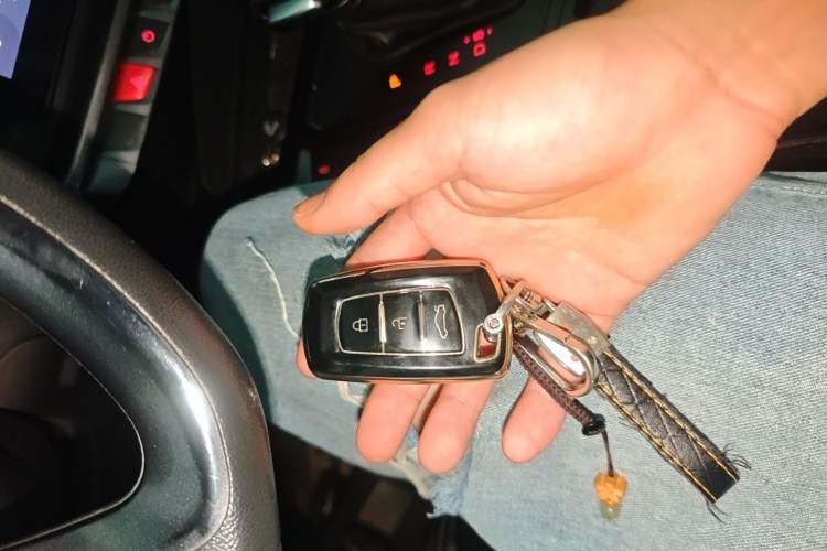 Used FORTHING T5L 2020 1.5T Automatic Luxury 7-Seater China VI Standard