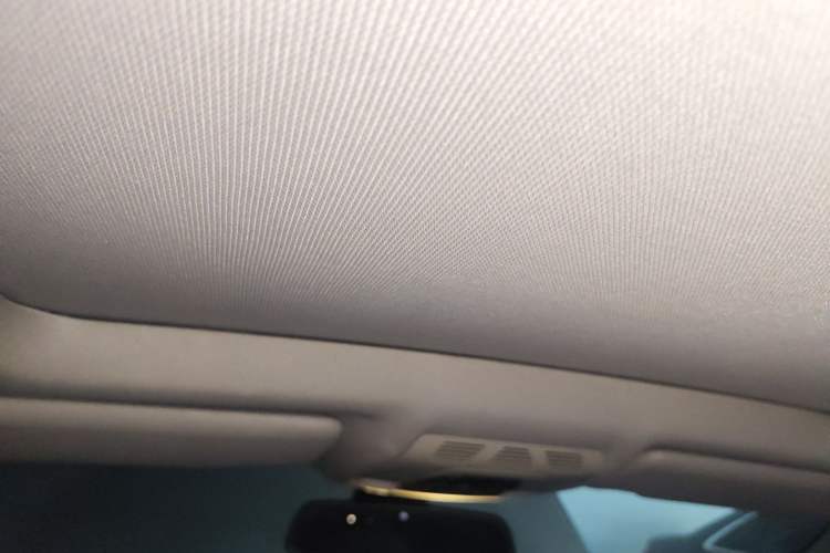 Used BMW 3 Series GT 2013 320i Sport Design Package Headliner