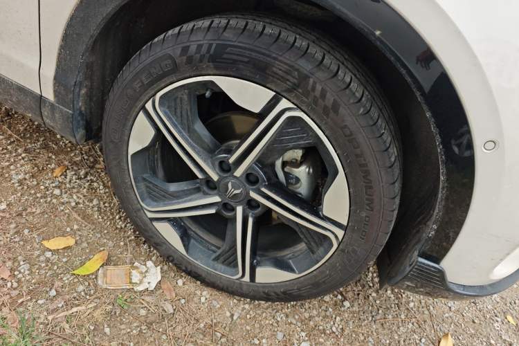 Used VOYAH COURAGE 2024 Long-Range Smart Edition
