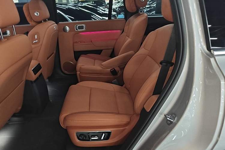 Used Li Auto L9 2024 Pro Model Left Rear Seat