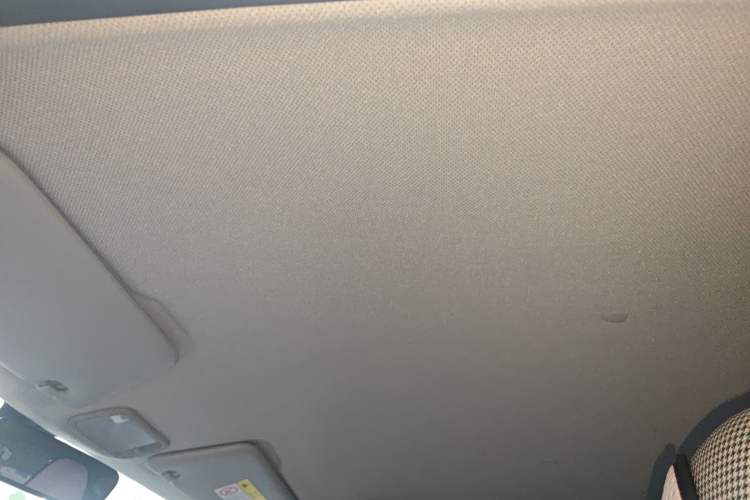 Used Wuling Hongguang MINIEV 2024 3rd Generation 215km Youth Edition Headliner