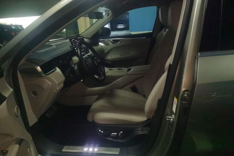 Used Wey Mocha New Energy 2023 Two-Wheel Drive Long-Range Version Left Front Seat