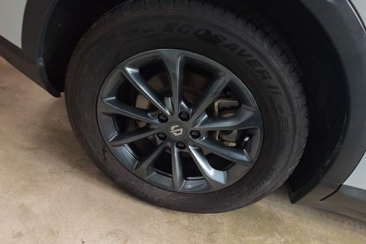 Used Leapmotor C11 2023 Pure Electric 500 Comfort Edition
