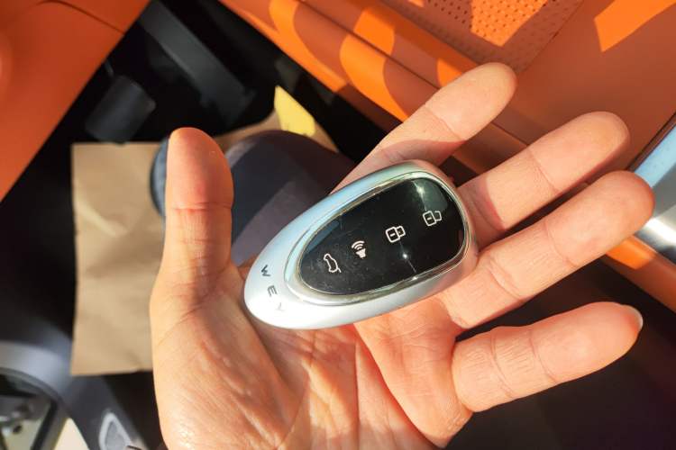 Used Wey Lanshan 2025 Four-Wheel Drive Ultra