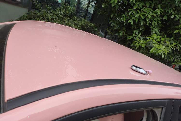 Used NETA V 2022 Chao 400 Lite Pink Custom Edition Roof