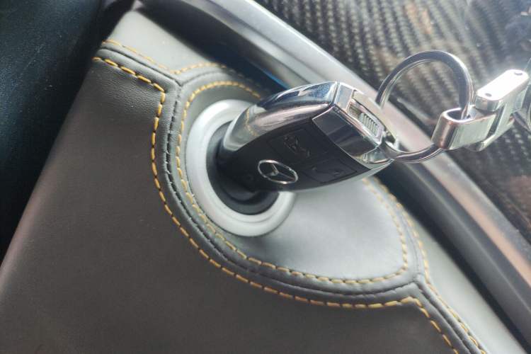 Used Lorinser VS Series 2021 VS600MX Gulf Stream · Unity of Heaven and Earth