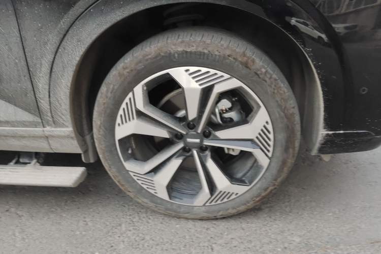 Used Wey Lanshan 2023 Four-Wheel Drive Ultra-Long Range Version
