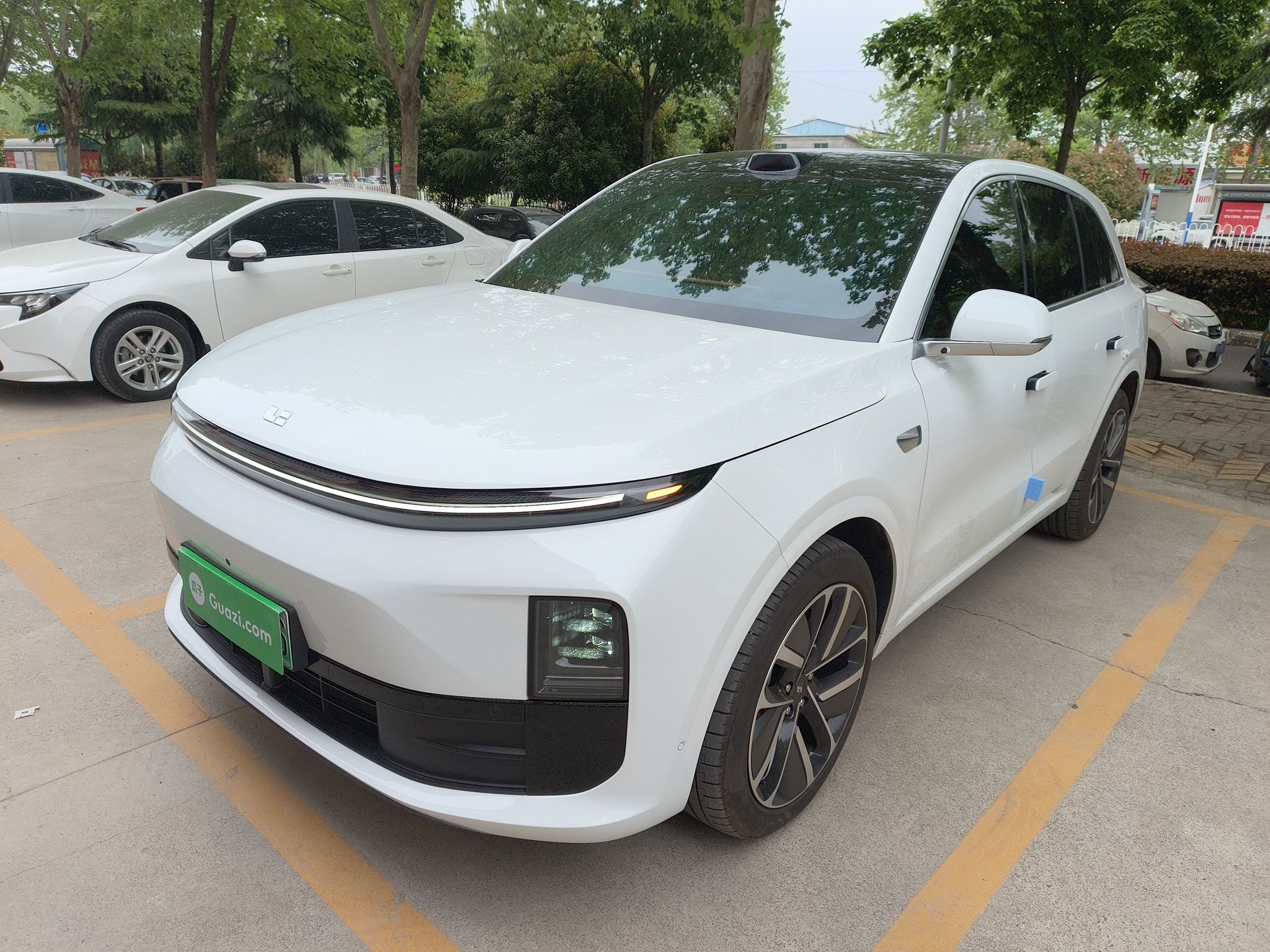 Parte inferior delantera