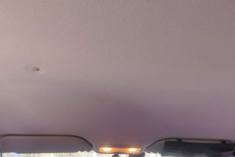 Used SOL E10X 2022 Flower Fairy Style Baby's Breath
