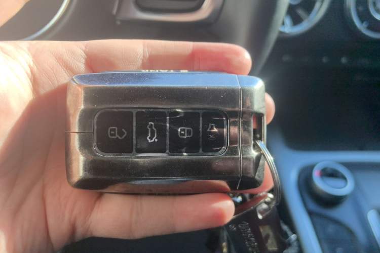 Used Tank 300 2024 2.0T Conqueror