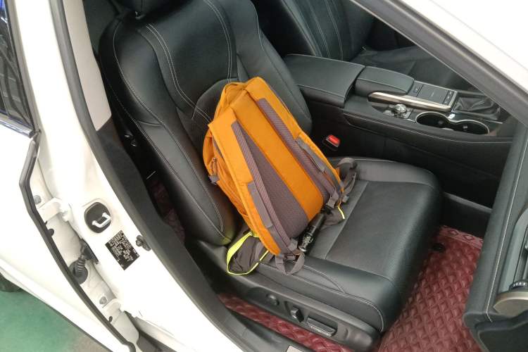 Used Lexus RX 2020 300 4x4 Elegant Edition China VI