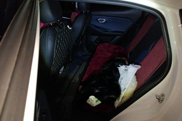 Used GAC Trumpchi GS3 2025 Shadow Speed 270T Enjoyment Edition Soaring to New Heights