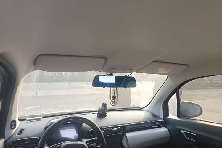 Used Leapmotor T03 2023 310 Lite Edition Headliner