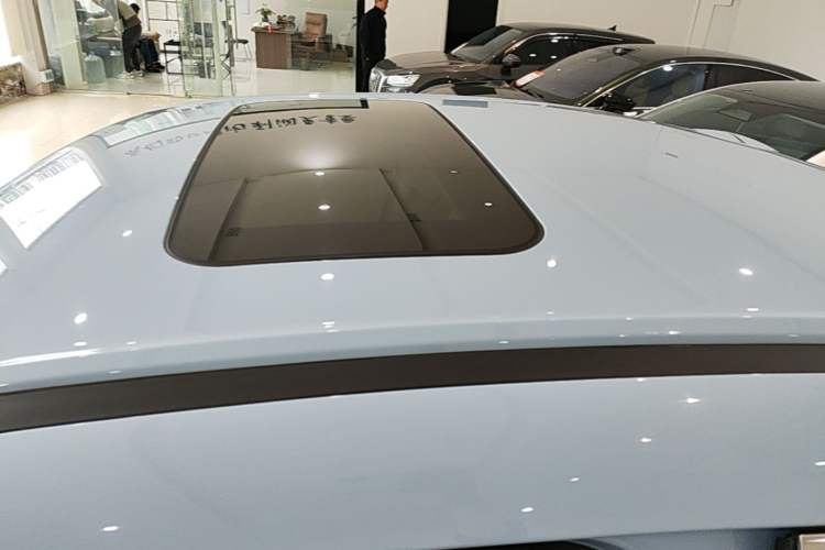 Used ORA Ballet Cat 2022 401 km Nutcracker Edition