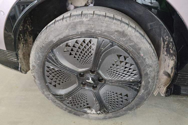 Used VOYAH COURAGE 2024 Four-Wheel Drive Global Edition